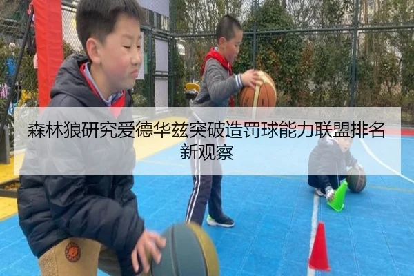 森林狼研究爱德华兹突破造罚球能力联盟排名新观察 - kaiyun